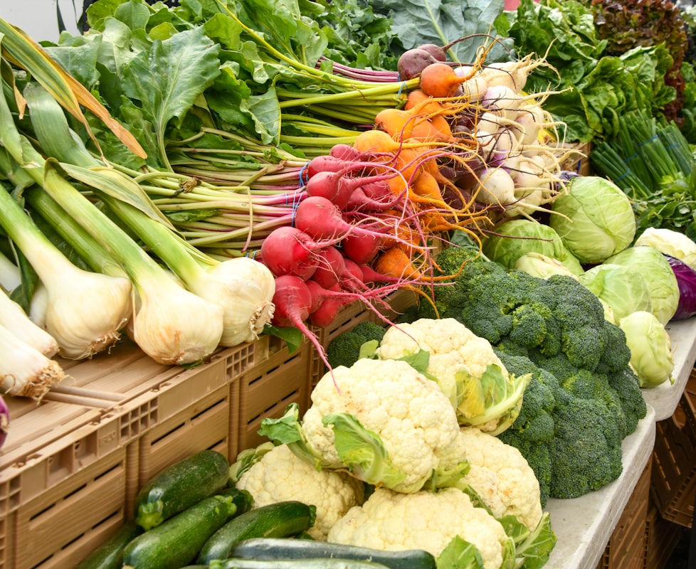 Gesunde Ernährung und Wohlbefinden