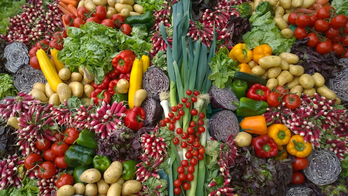 Neueste Forschung zur Ernährung